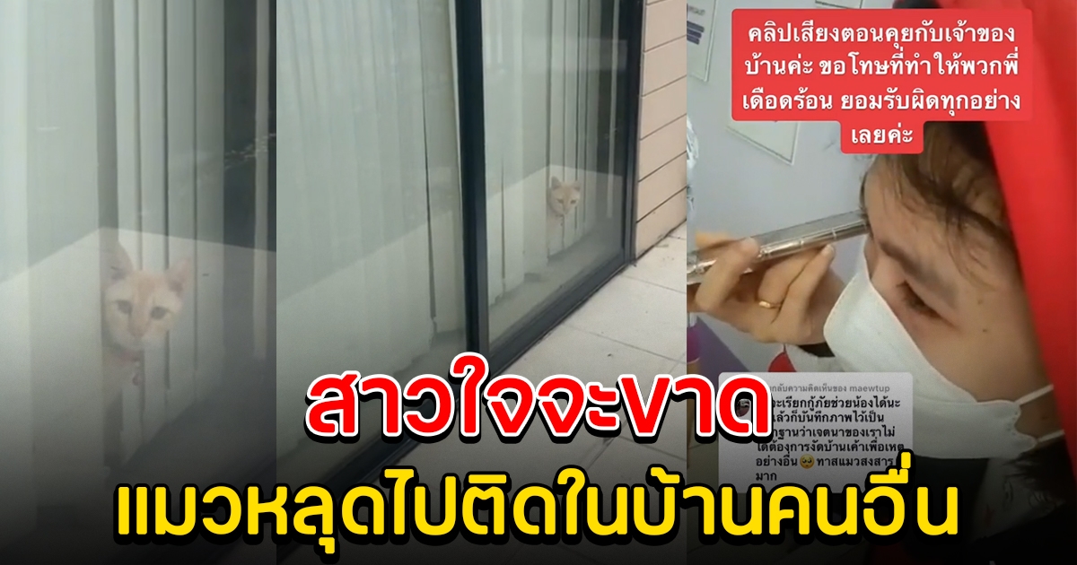 สาวทำแมวหลุดเข้าบ้านคนอื่น 3 วัน ไม่ได้กินอะไร ต้องตามเจ้าของบ้าน กลับมาช่วยเปิด