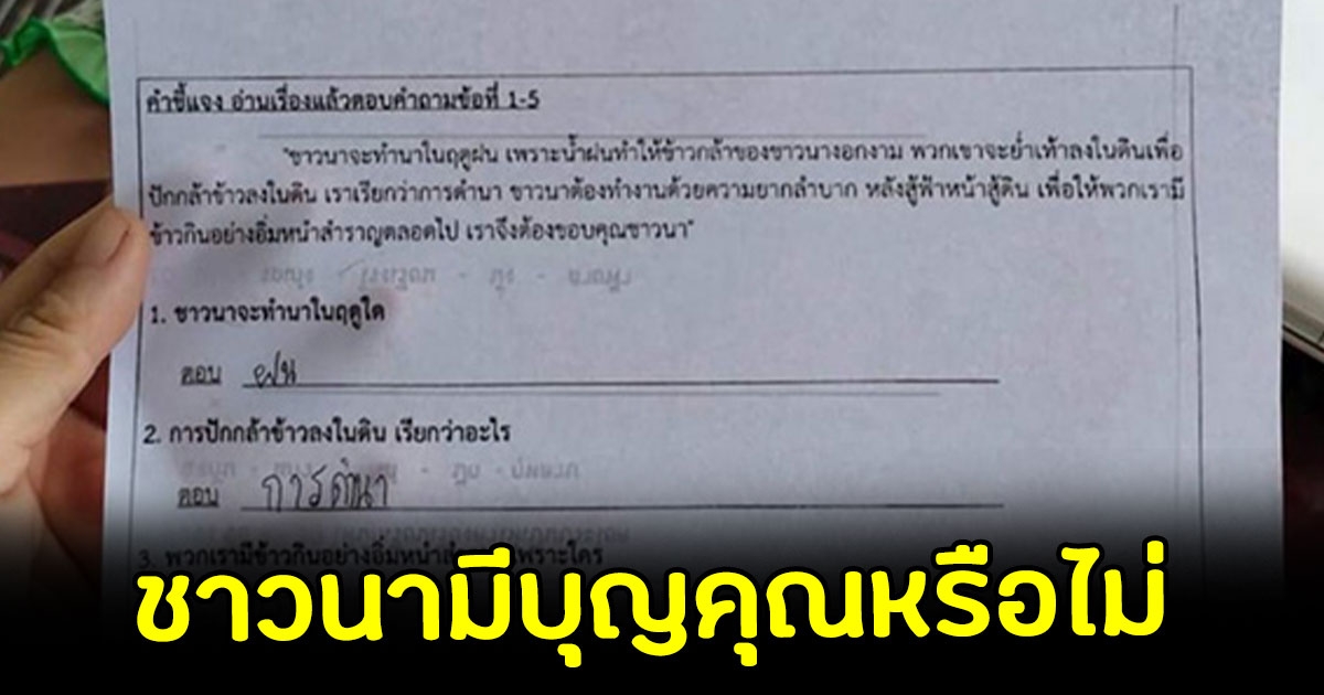 หนูน้อยเจอการบ้าน ชาวนามีบุญคุณกับเราไหม