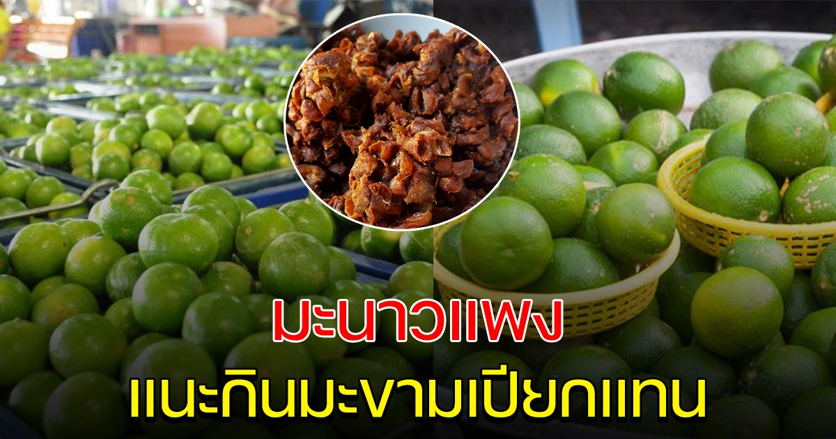 พาณิชย์ แจ้งเหตุ มะนาวแพง แนะกินมะขามเปียกแทน