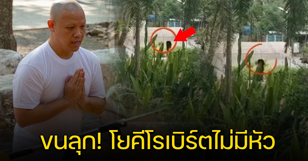 นาที โยคีโรเบิร์ต ปฏิบัติธรรมในวัด