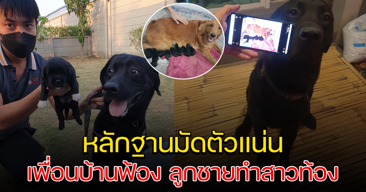 สาวสุดงง จู่ๆเพื่อนบ้านส่งหลักฐานมาฟ้อง