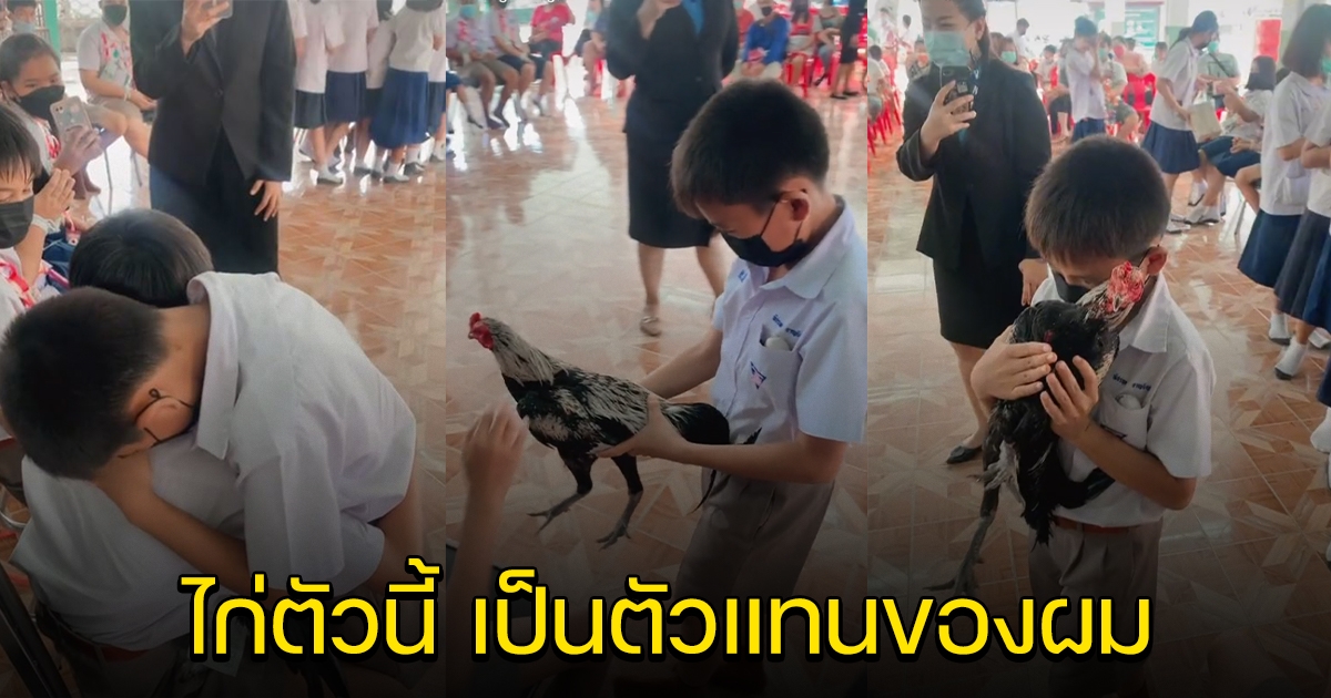 น้อง ป.4 อุ้มไก่ชน เป็นของขวัญวันปัจฉิมฯ รุ่นพี่ ป.6