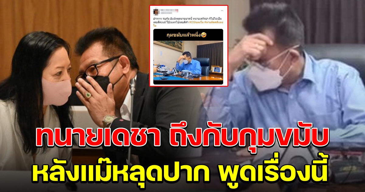 ทนายเดชา ถึงกับกุมขมับ ไปไม่เป็น หลังเเม่เเตงโมเผลอหลุดปาก