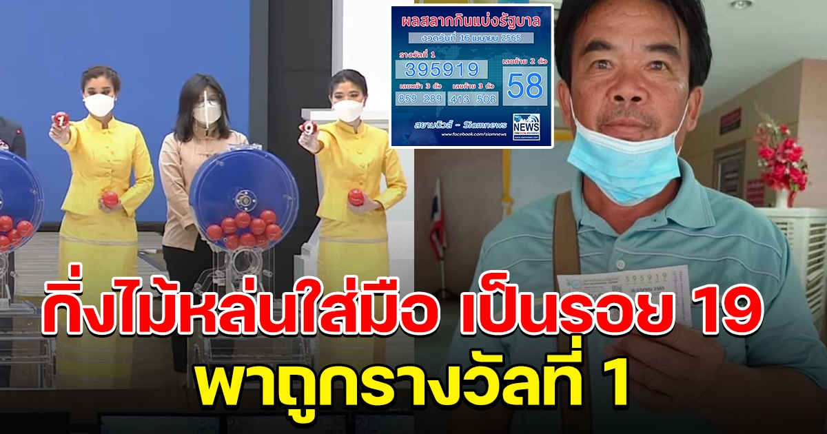 หนุ่มตัดไม้ หล่นใส่มือเป็นรอยเลข 19 พาถูกรางวัลที่ 1