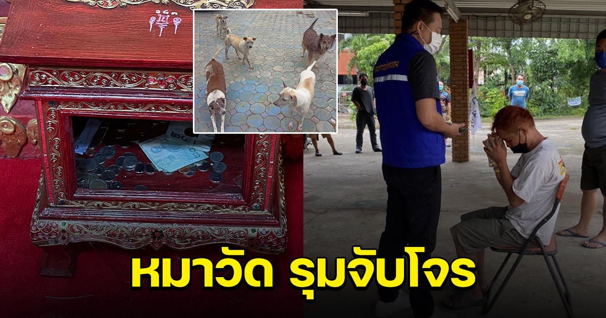 โจรย่องงัด ตู้บริจาควัด