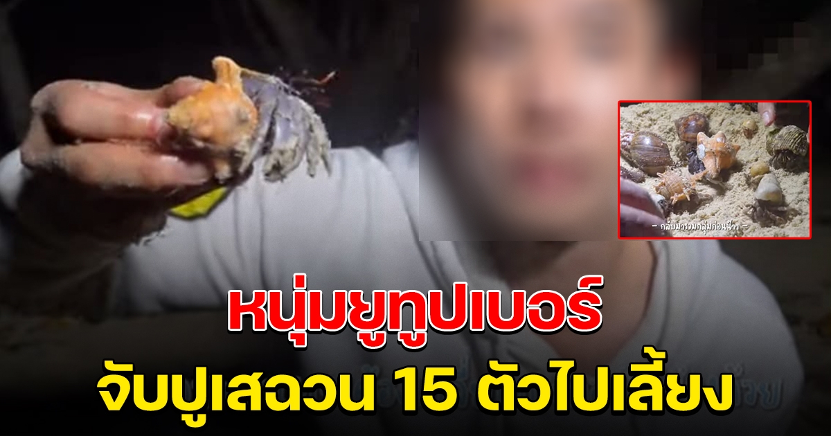 หนุ่มยูทูบเบอร์ จับปูเสฉวนกลับบ้านไปเลี้ยง 15 ตัว