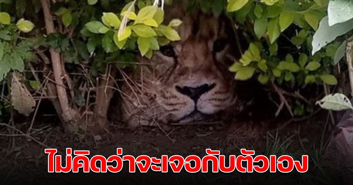 ชาวบ้านตกใจ รีบแจ้งเจ้าหน้าที่