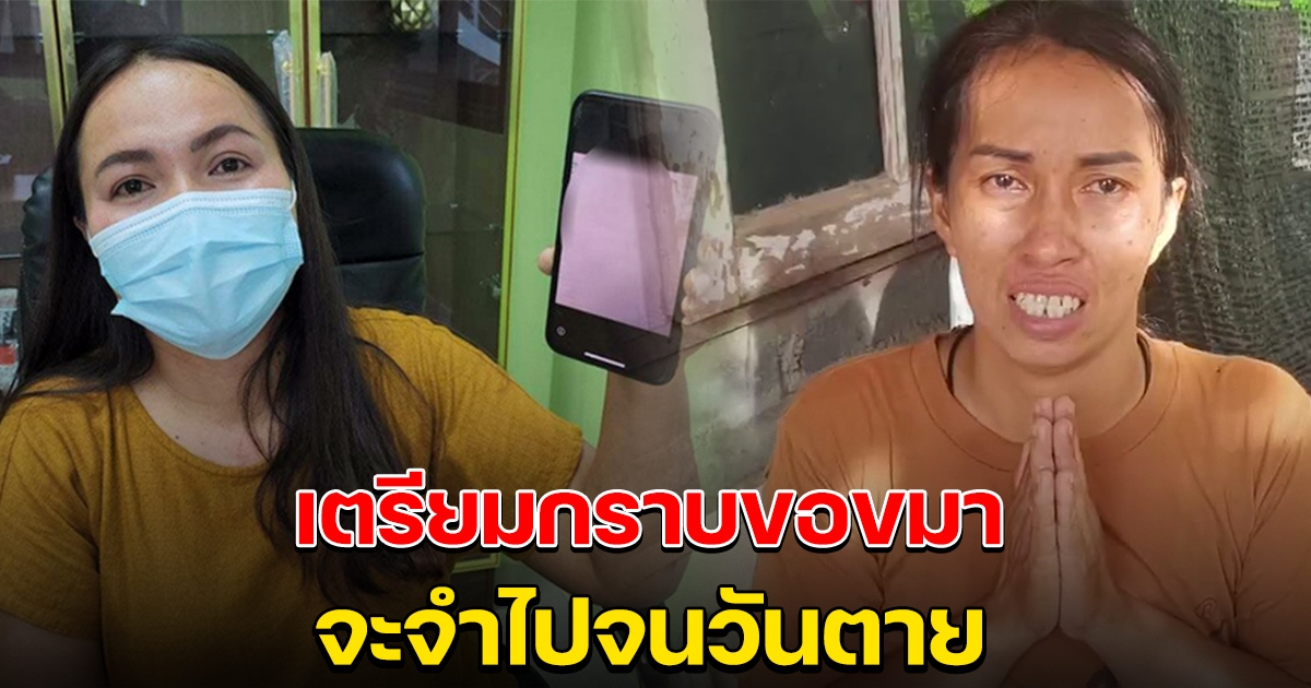 สาวรับเงินโอนผิดเตรียมกราบขอขมา