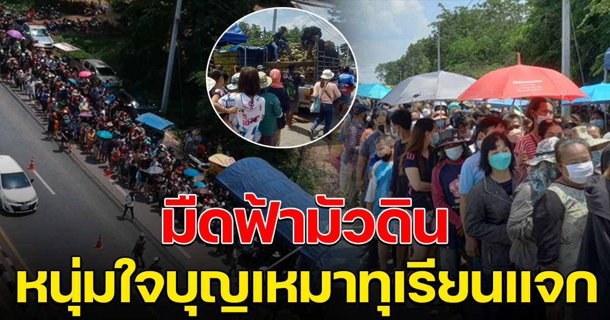 มืดฟ้ามัวดิน หนุ่มใจบุญ เหมาทุเรียนหมอนทองให้ชาวบ้าน