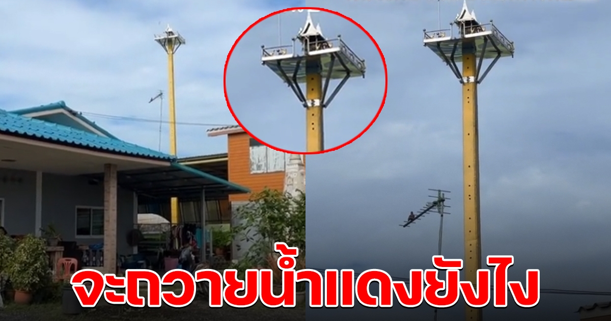 ฮือฮา ศาลพระภูมิสูงกว่าบ้าน