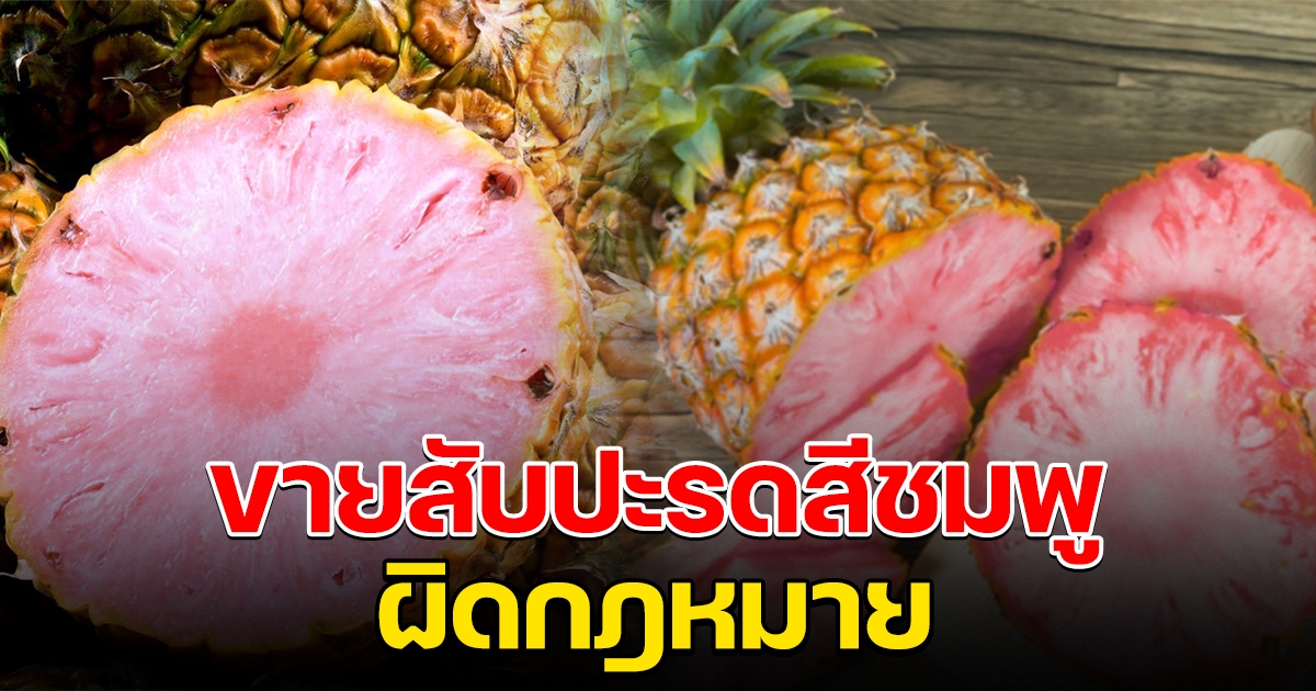 สับปะรดสีชมพู ผิดกฎหมาย