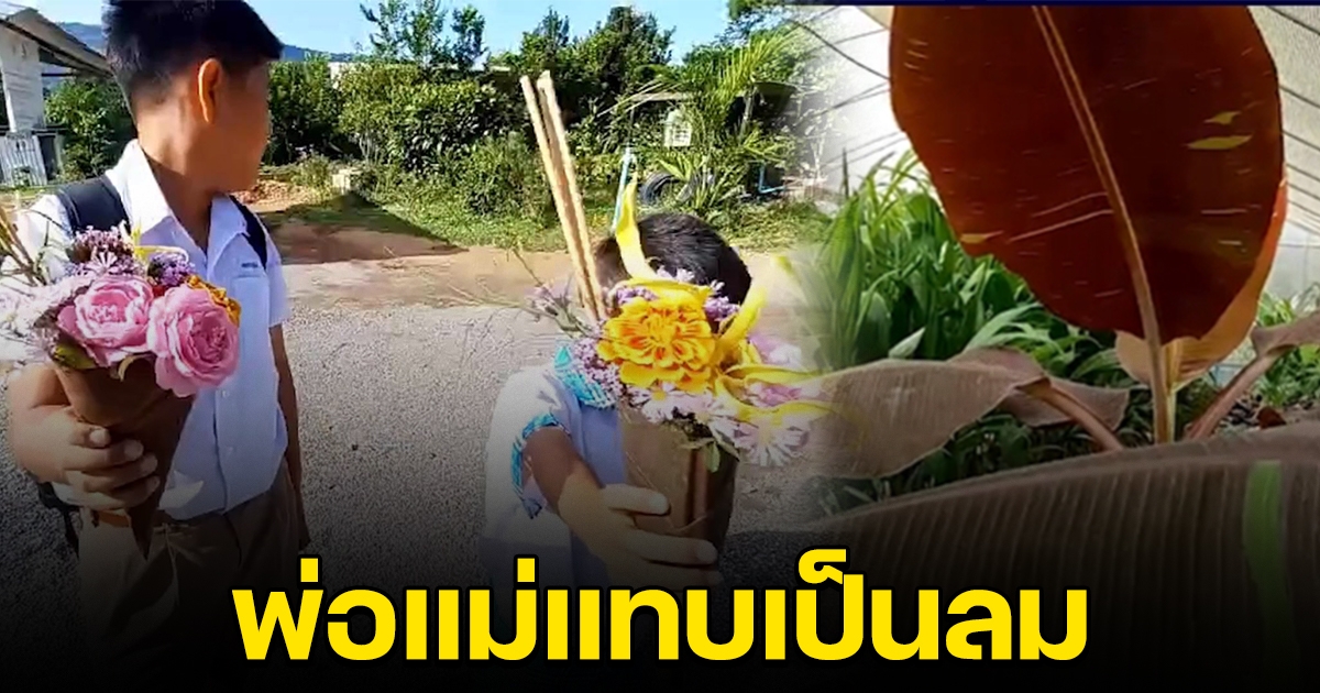 ลูกไม่รู้ตัดใบกล้วยแดงอินโด ทำกรวยไหว้ครู