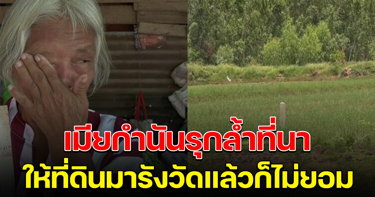 ยายหมดหนทาง เมียกำนันรุกล้ำที่ดินทำนา ให้เจ้าหน้าที่มารังวัดแล้วก็ไม่ยอมออก