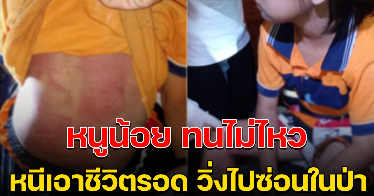 หนูน้อย วิ่งหนีไปหลบในสวนสับปะรด