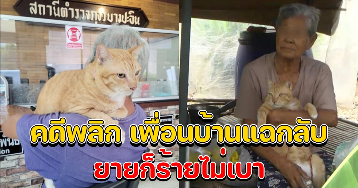 คดีพลิก เพื่อนบ้านแฉกลับ ยายเจ้าของแมว