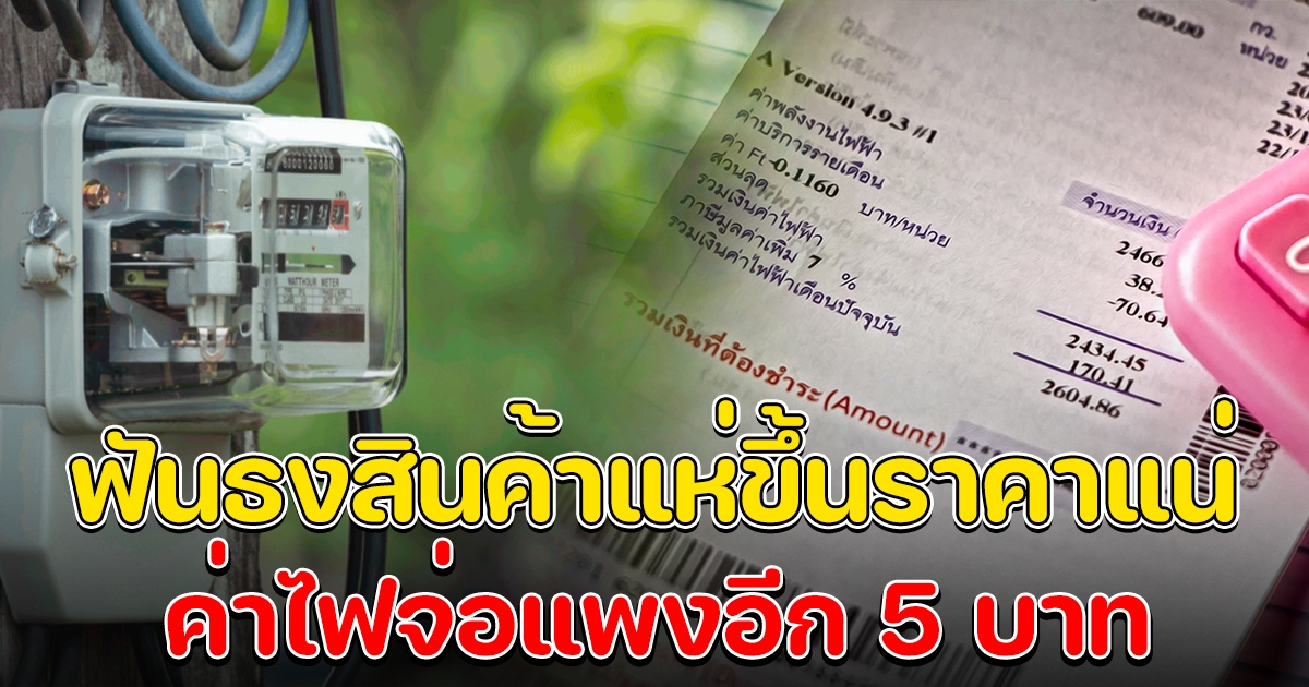 เอกชนฟันธงสินค้าแห่ขึ้นราคาอีกแน่ รับค่าไฟประเทศไทย จ่อแพงอีก 5 บ.