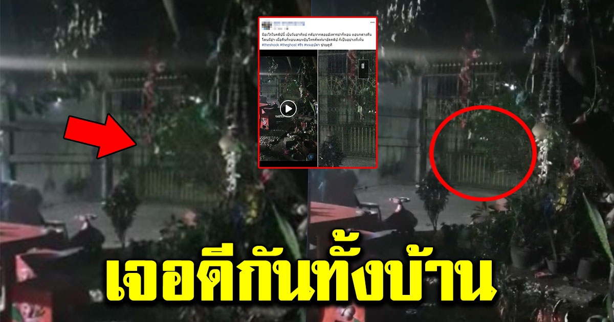 หนุ่มแปลกใจ สุนัขร้องตอนกลางคืนแทบทุกวัน