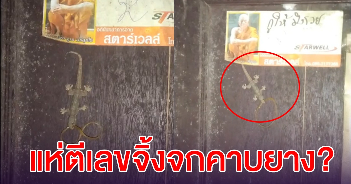 หนุ่มโพสต์ เจอจิ้งจกคาบยาง เห็นเป็นเลข 2 ตัว