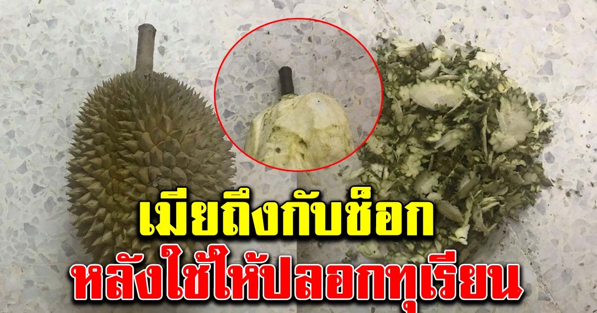 หนุ่มโดนภรรยาใช้ปลอกทุเรียนให้กิน