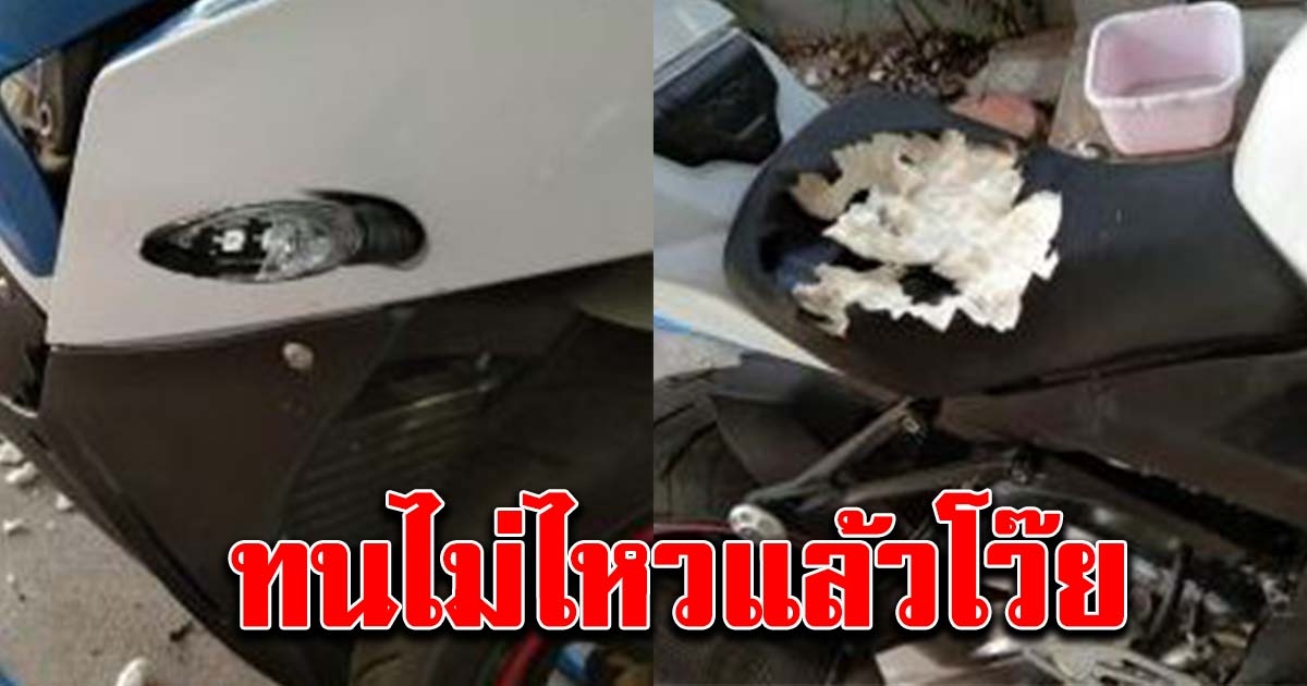 หนุ่มทนไม่ไหว หลังเห็นรถบิ๊กไบค์