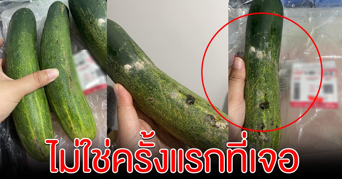 สาวสุดเซ็ง แตงกวาจากห้างดังขึ้นรา ลั่นไม่ใช่ครั้งแรกที่เจอ