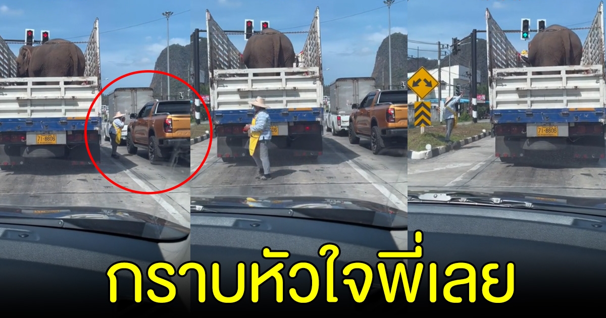 กราบหัวใจ คนขับฟอร์ด เหมาผลไม้แม่ค้า ให้ช้างติดไฟแดง