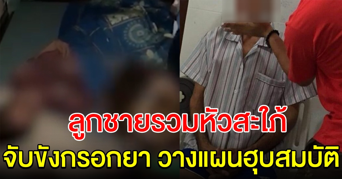 เศรษฐีแปดริ้ว โดนลูกชายรวมหัวสะใภ้ จับขังวางแผนฮุบสมบัติ