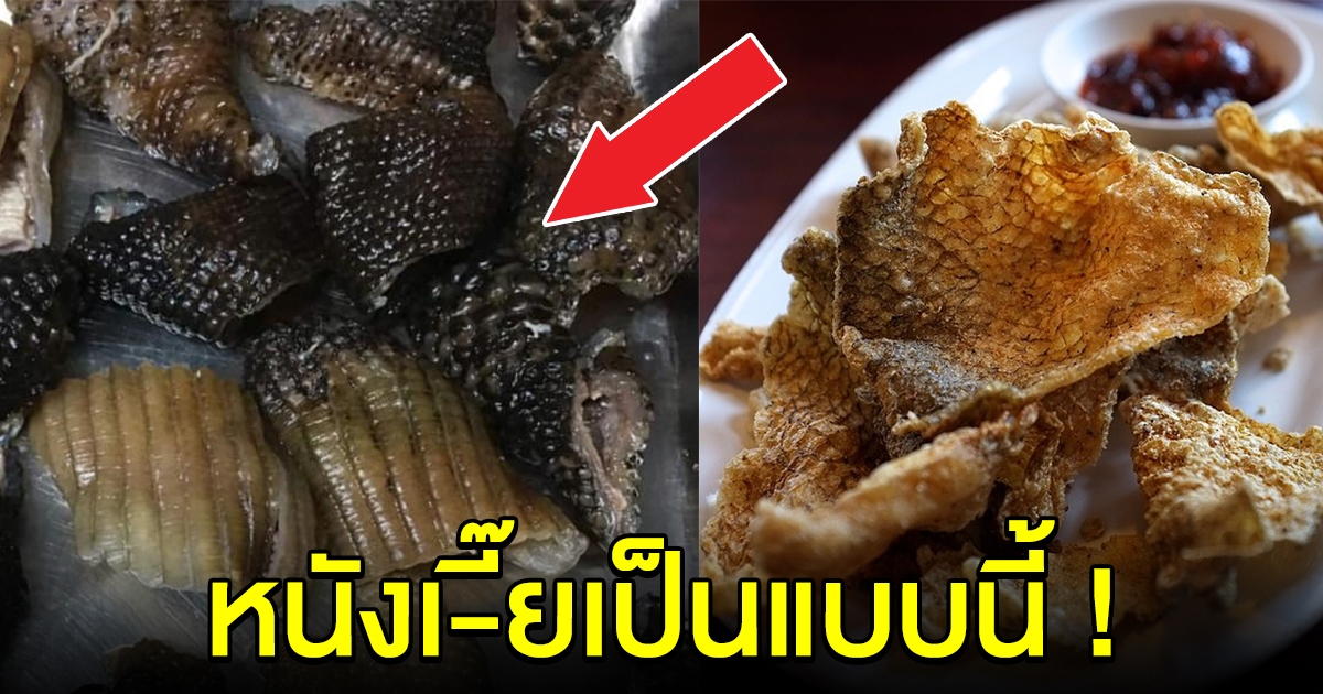 เชฟดังเอาให้ดูชัดๆ หนังตัวเงินตัวทองทอดกรอบ ของแท้เป็นแบบนี้นะ