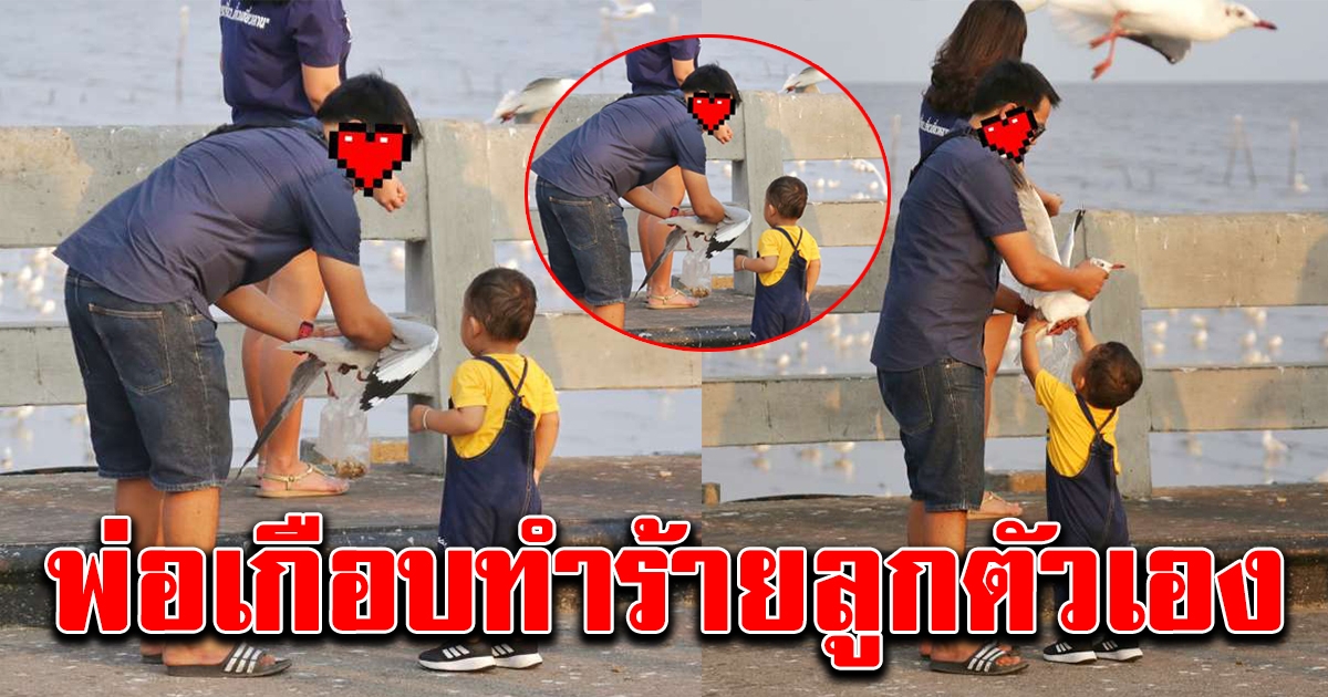 หนุ่มจับนกนางนวลให้บุตรดู