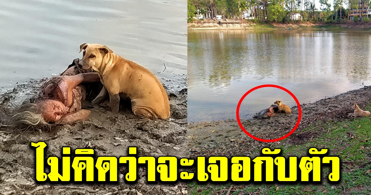 หนุ่มตกใจ เจอคุณป้า นอนแน่นิ่งริมสระ