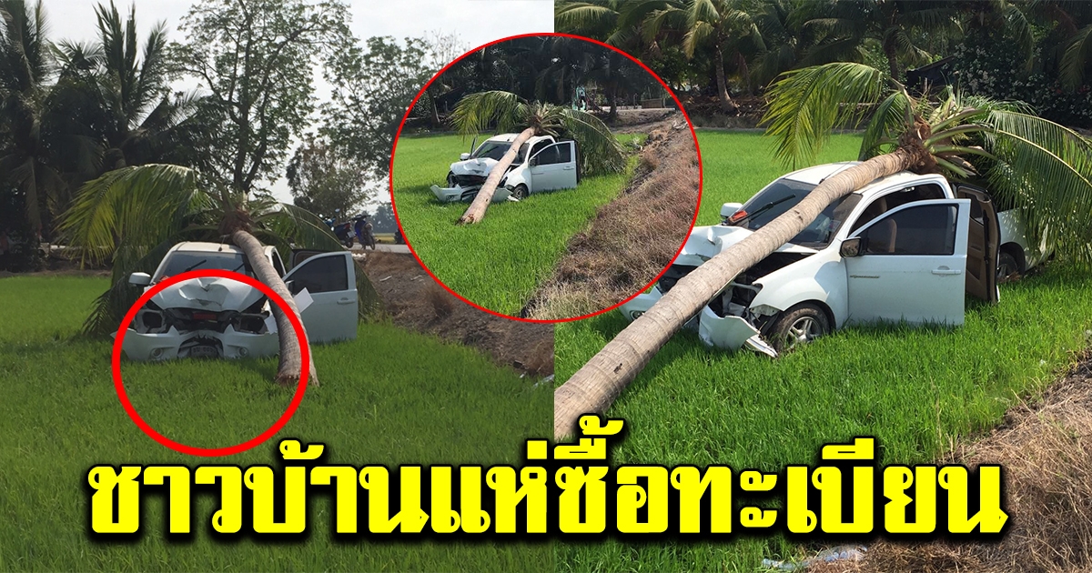 กระบะขาวสายซิ่ง ไปให้สุดเเล้วหยุดที่ต้นมะพร้าว