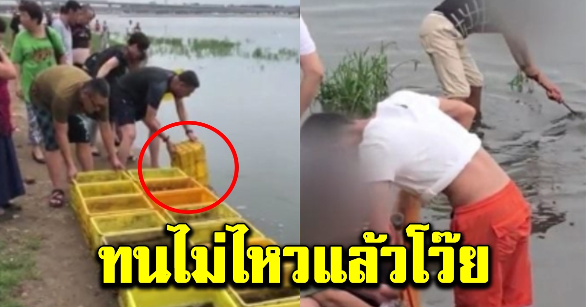 หนุ่มเหมาตลาดซื้อปลา 10000 ตัวมาปล่อยทะเล