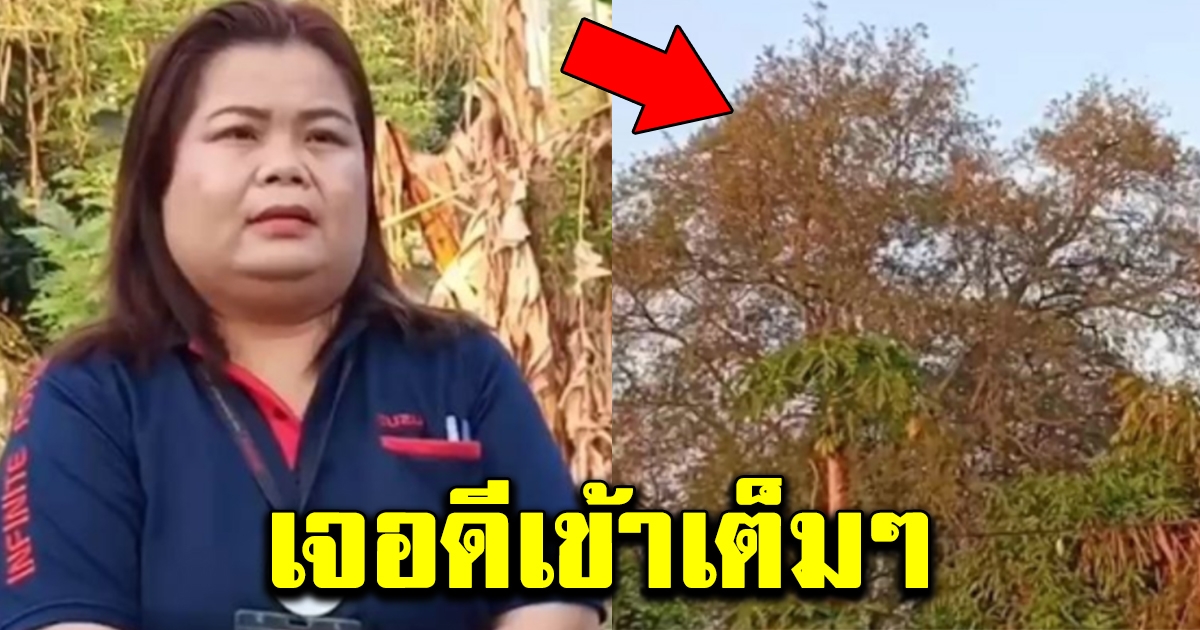 สาวใหญ่รู้สึกร้อนนอนไม่หลับ ลุกไปเปิดหน้าต่าง