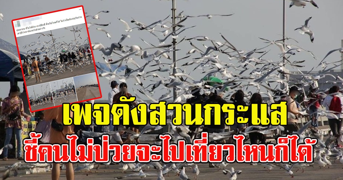 เพจดังสวนกระแส ชี้คนไม่ติด covid19 จะไปเที่ยวไหนก็ได้ ไม่ต้องอยู่บ้าน