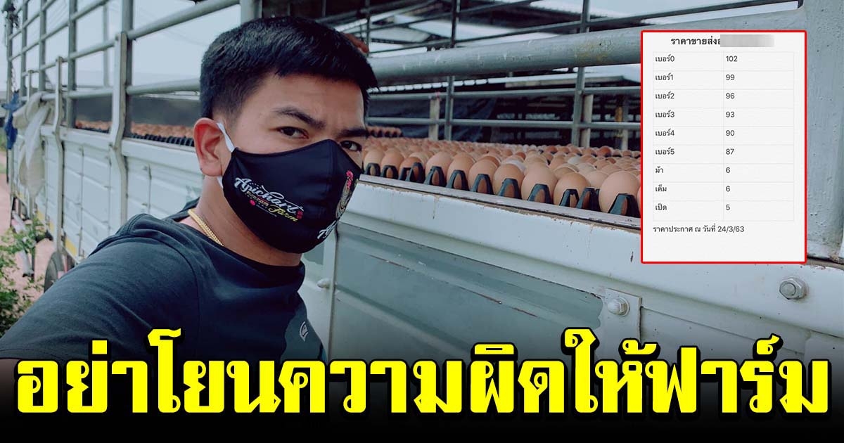 หนุ่มฟาร์มไข่ไก่ เผยราคาส่ง วอนอย่าโยนความผิดให้ฟาร์ม