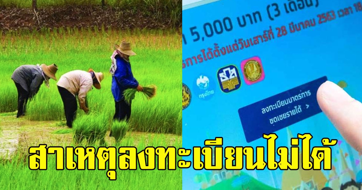 กระจ่างสาเหตุที่ เกษตรกร ลงทะเบียน เราไม่ทิ้งกัน ไม่ได้ หมดสิทธิ์ได้เงินเยียวยา 15000