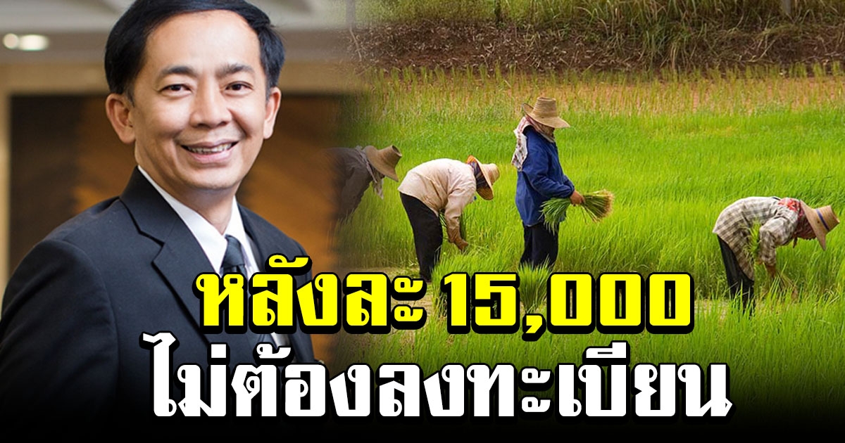 คลังเล็งแจกเงินเกษตรกร ครอบครัวละ 15000 โดยไม่ต้องลงทะเบียน