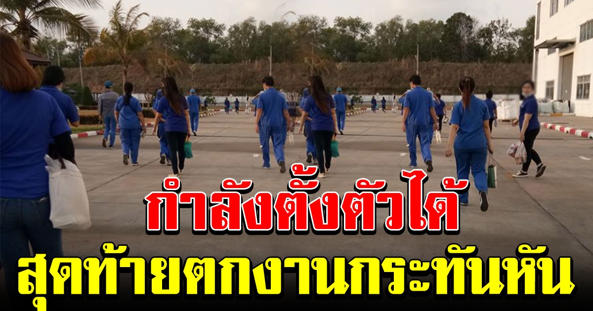 สาวโรงงานโพสต์ กำลังตั้งตัว แต่ต้องตกงาน