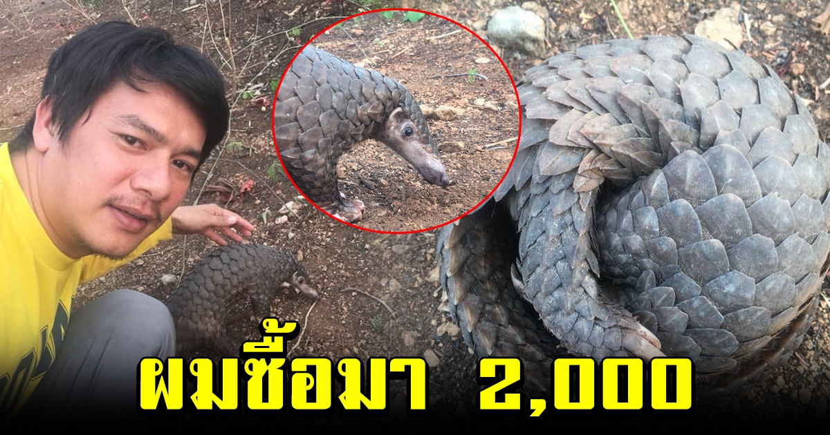 หนุ่มลงทุน ควักเงิน 2000 ซื้อตัวนิ่มมาจากตลาด