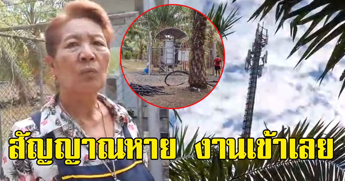 เจ้าของสวนปาล์ม เจอช่างมาซ่อมเสาสัญญาณมือถือ ปีนขึ้นไปถึงยอดสูง60เมตร