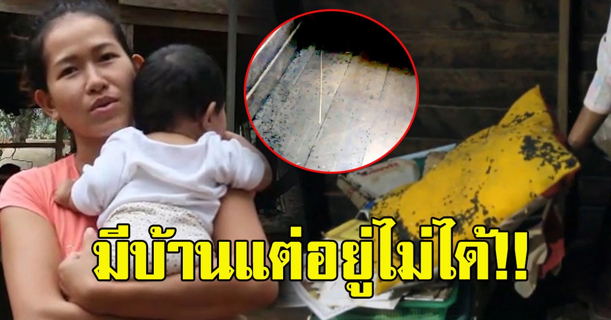 สาวทนไม่ไหว กองทัพแมลงบุก อุ้มบุตรตะลอนหนี
