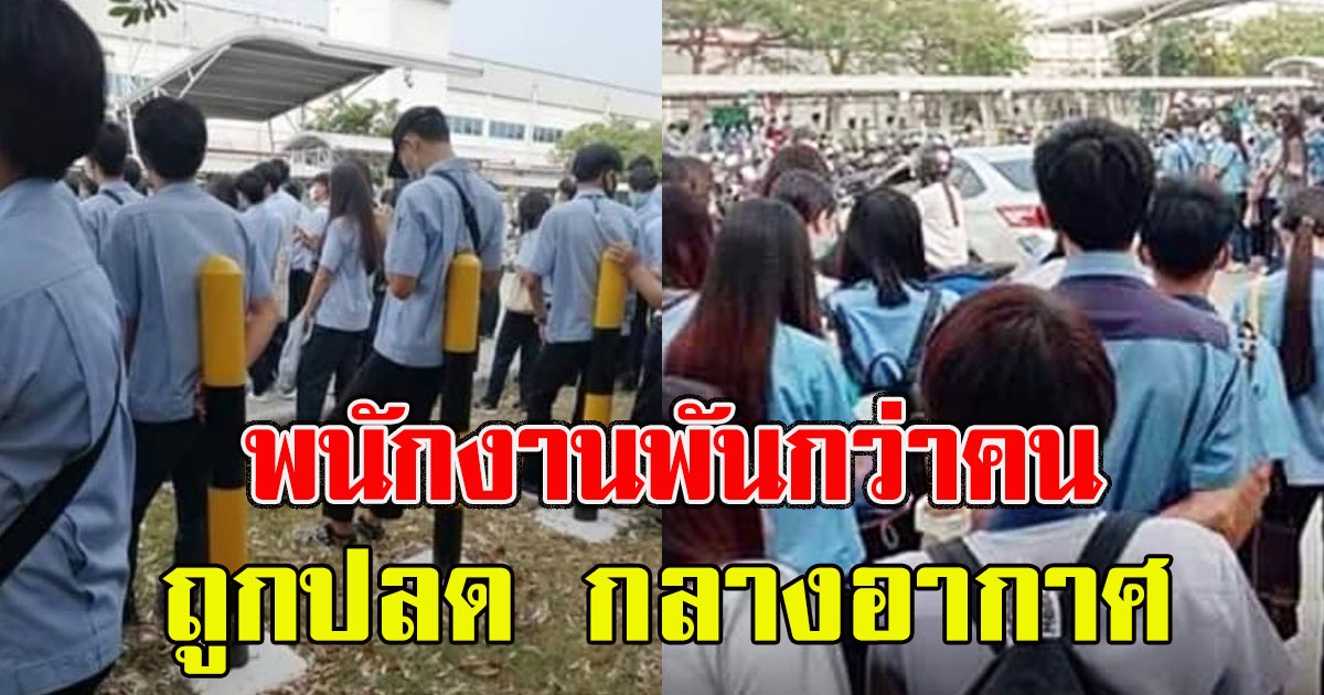 โรงงานแอร์ ปลดพนักงานซัพคอนแทค รวมพันกว่าคน กลางอากาศ
