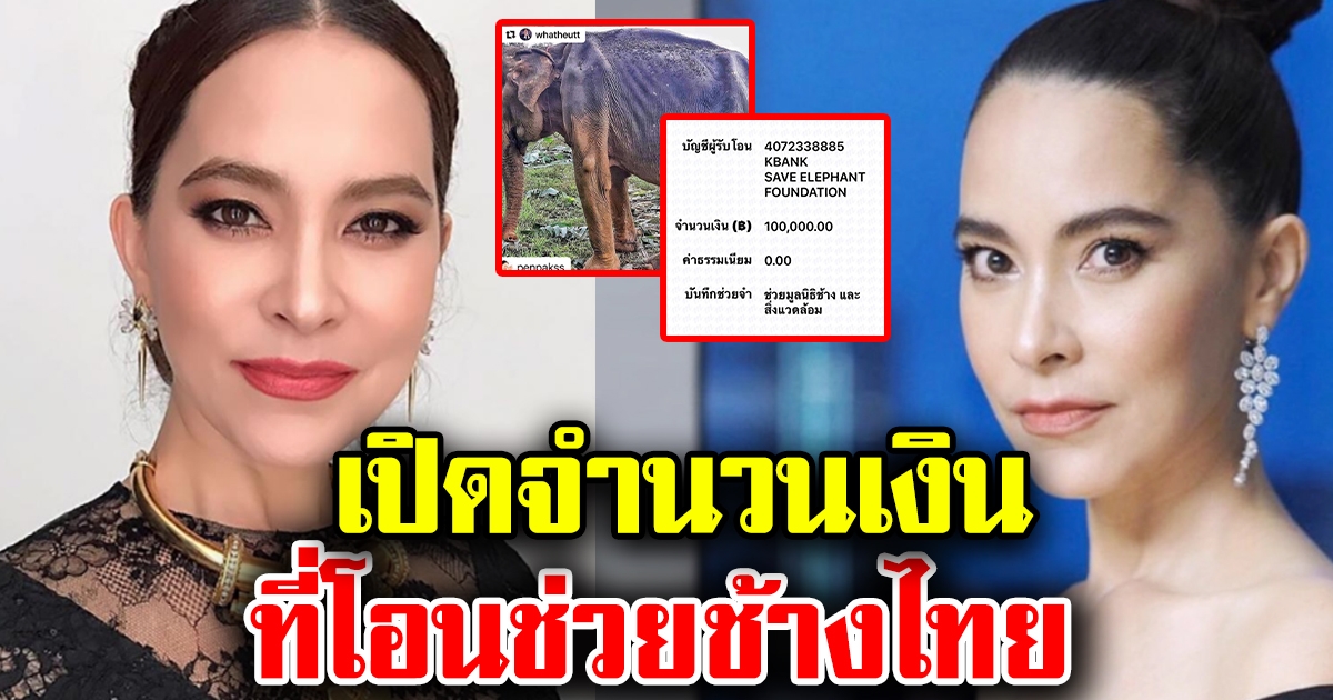 มาช่า ควักกระเป๋า ช่วยช้างไทยจาก COVID19