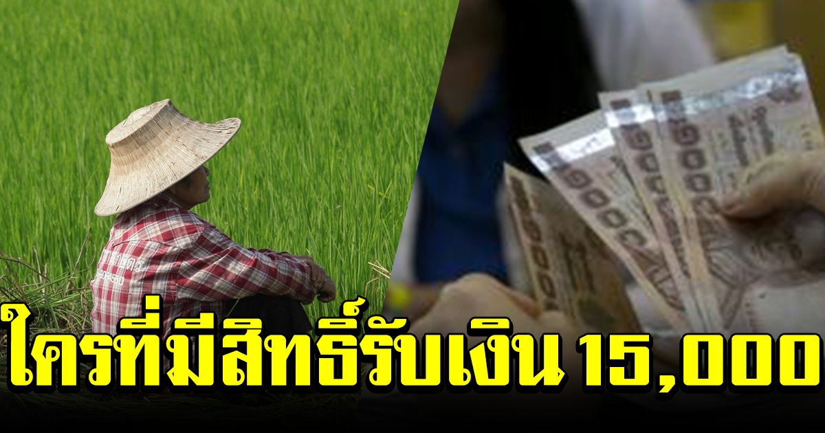 เกณฑ์ขึ้นทะเบียน เกษตรกร ใครที่มีสิทธิ์รับเงิน 15,000