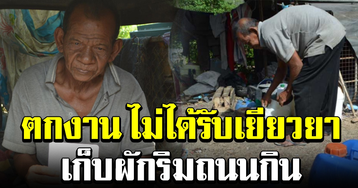 ลุงวัย 60 ยังไม่ได้ 5 พัน ตกงานขาดรายได้ ต้องเก็บผักริมถนนกิน