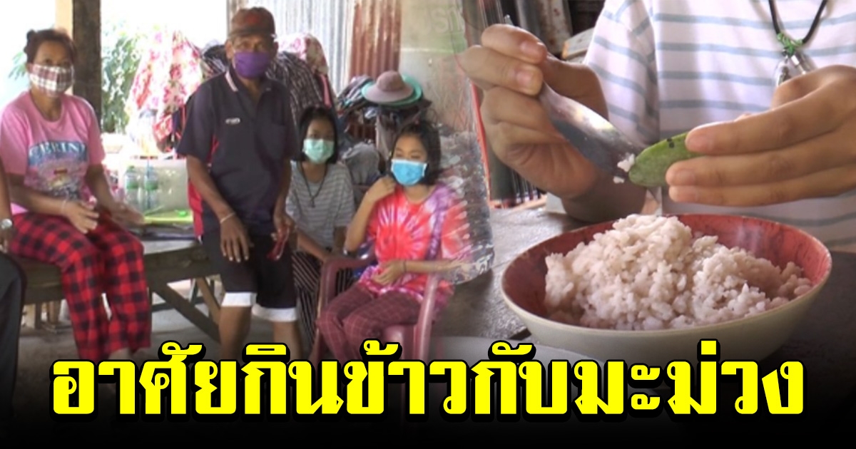 ปู่ย่าเลี้ยงหลาน 2 คน ไม่ได้เงินเยียวยา 5 พัน ต้องเก็บมะม่วงคลุกข้าวกิน ไร้เงินเลี้ยงชีพ