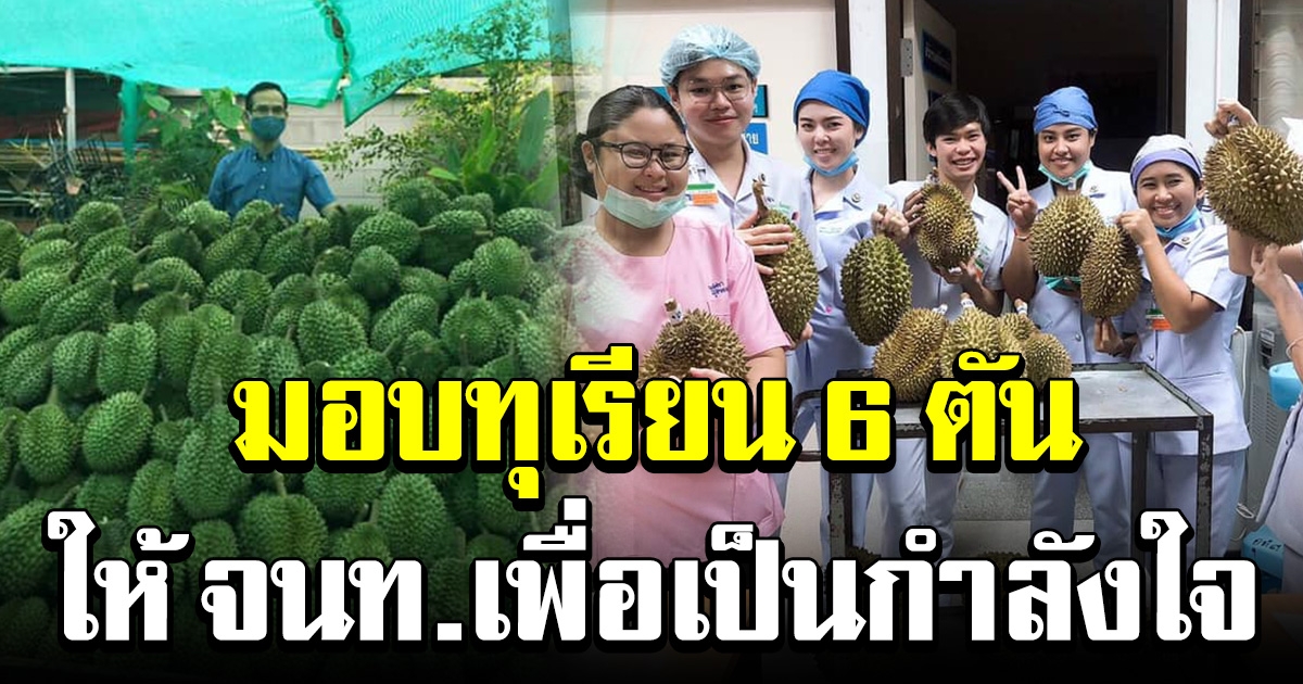 ผู้ใจบุญ มอบทุเรียน 6 ตัน ให้ เจ้าหน้าที่ รพ เพื่อเป็นกำลังใจในการทำงาน