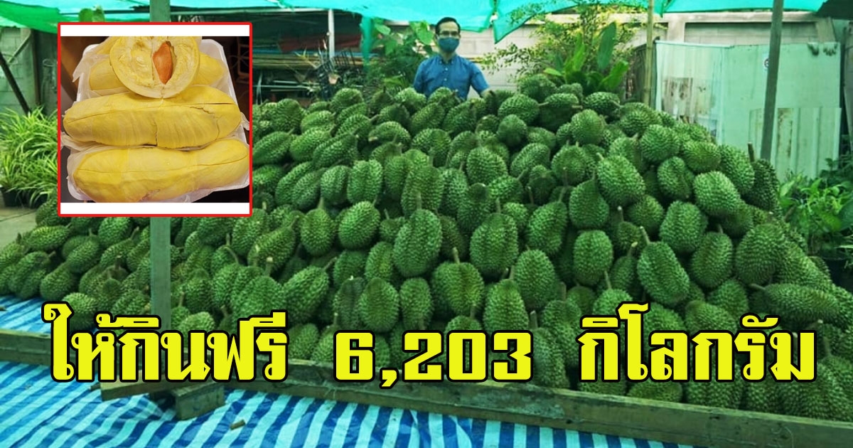 หนุ่มโพสต์ ให้กินทุเรียนฟรีแบบจัดเต็ม 6203 กิโลกรัม แต่มีข้อแม้ แห่ชมทั้งโซเชียล
