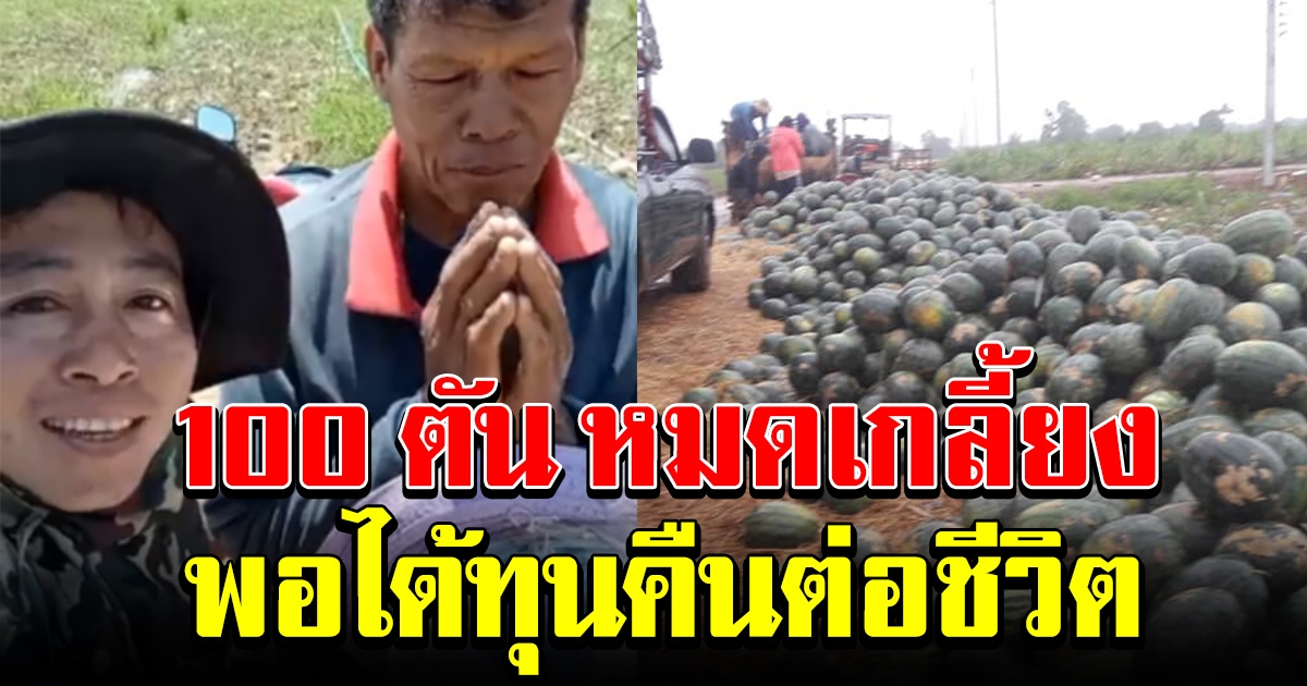 สาวใจบุญ โผล่ช่วยครอบครัวลุงขายแตงโม 100 ตัน หมดเกลี้ยง