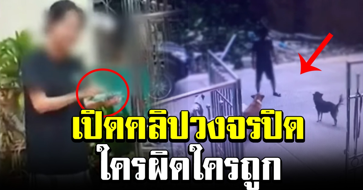 เผยคลิปวงจรปิด นาทีหนุ่มป้องกันตัว หลังหมาวิ่งเข้าใส่ ก่อนเจ้าของจะถือปืนออกมาปกป้องหมา
